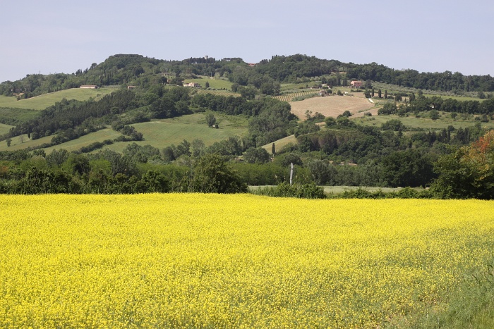 Toscane 09 - 256 - Paysages